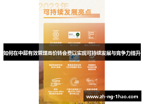 如何在中超有效管理高价转会费以实现可持续发展与竞争力提升