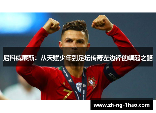 尼科威廉斯：从天赋少年到足坛传奇左边锋的崛起之路